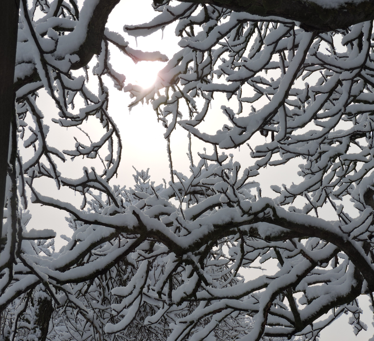 Erstellte Fotografie von einer Schneelandschaft
