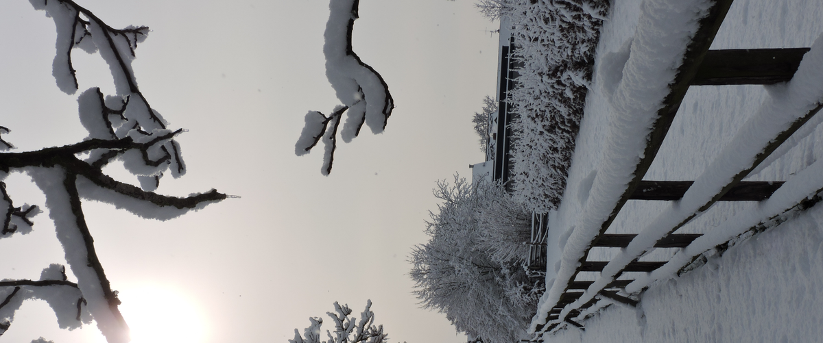 Erstellte Fotografie von einem schönen Naturereignis