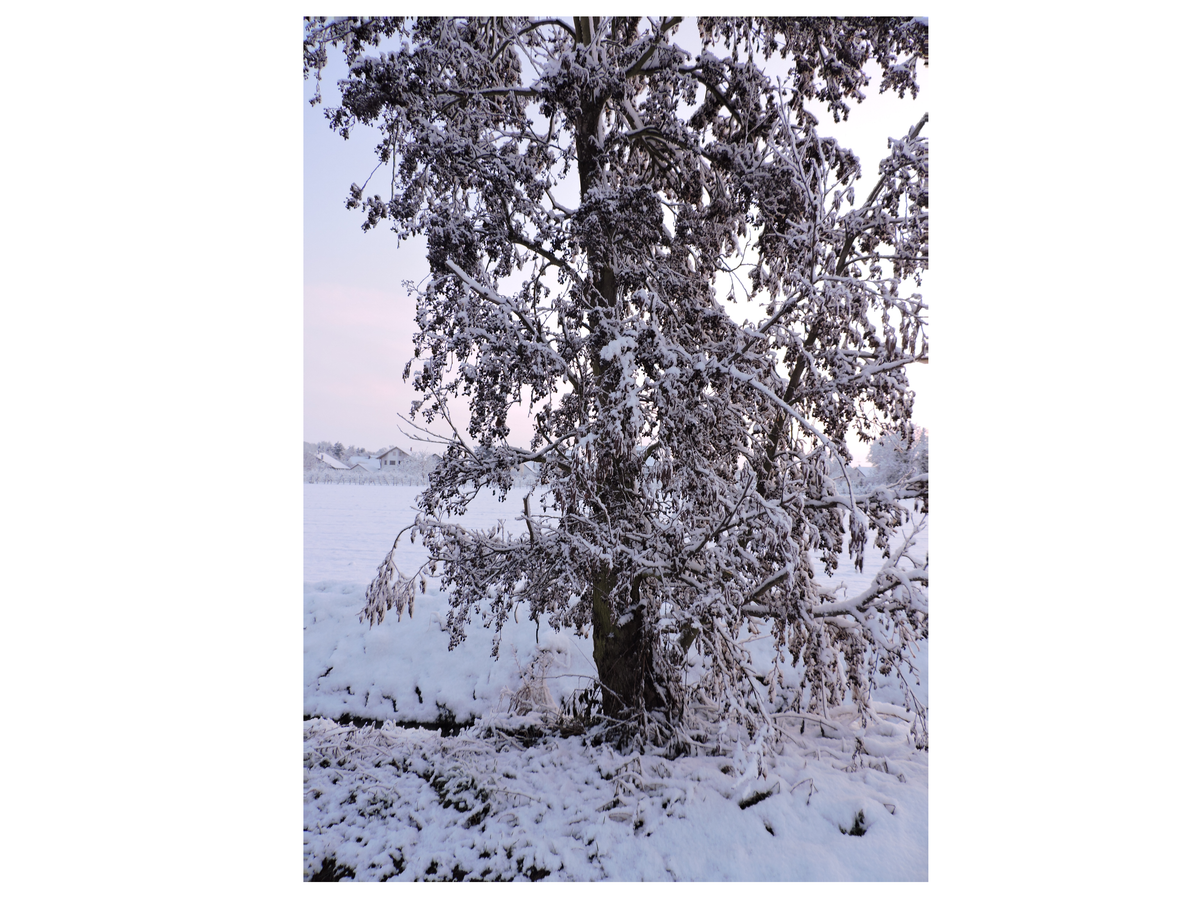 Erstellte Fotografie von einem schönen Naturschauspiel ( sehr gut geeignet )