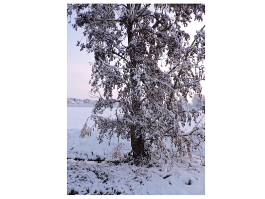 Erstellte Fotografie von einem schönen Naturschauspiel ( sehr gut geeignet )
