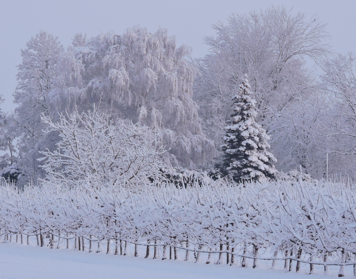 Erstellte Fotografie von einer traumhaften Winterlandschaft